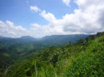 Zapatista territory